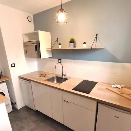 Apartment L'eglantine - Proche Centre - Free Parking - Airbus *